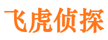 渝中侦探公司